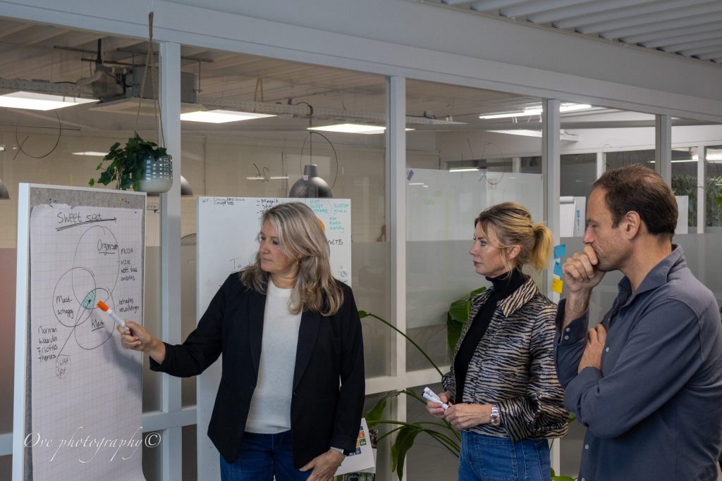 Het Impactcanvas